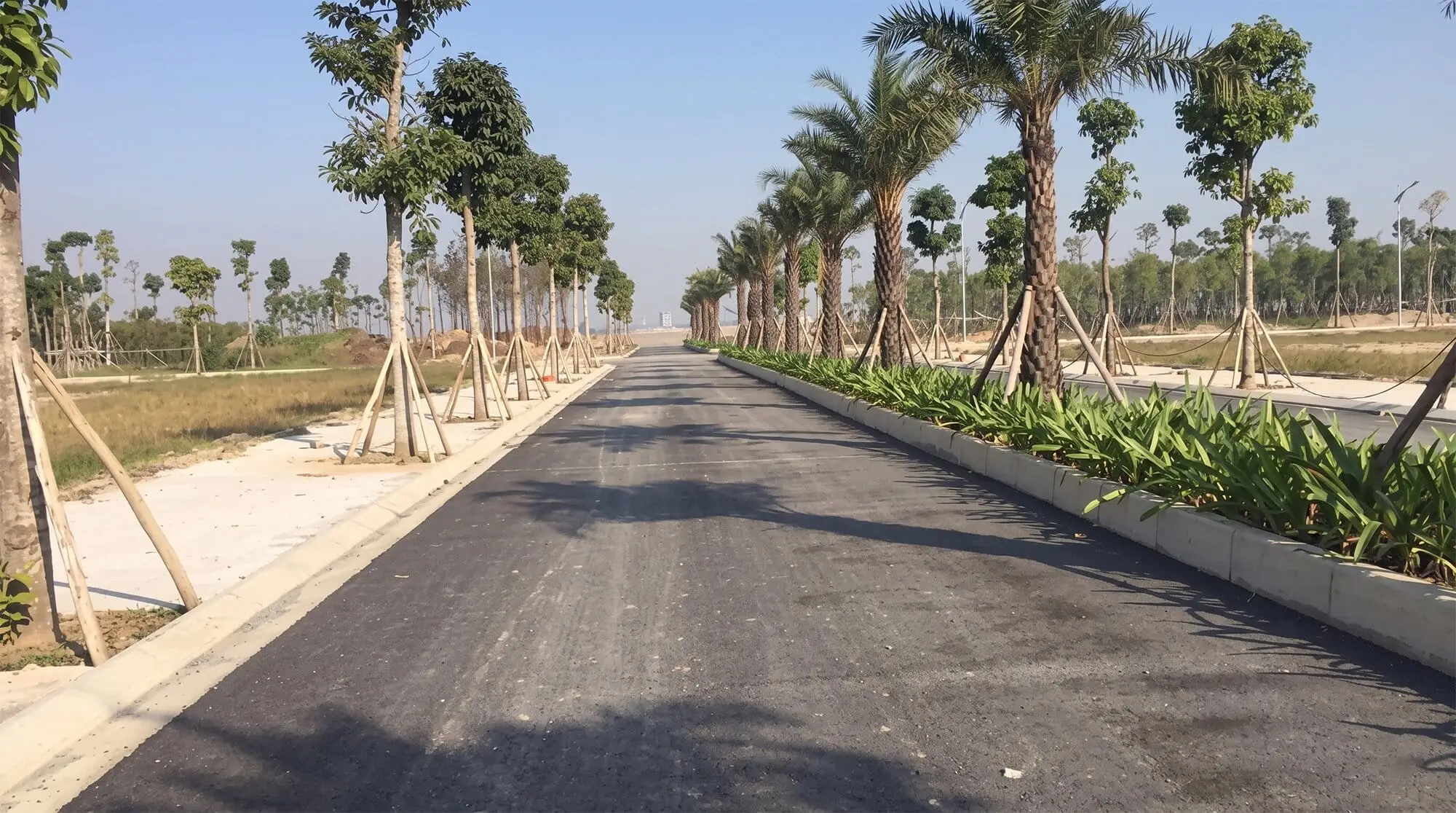 Tiến độ đường nội khu Forestia Park Phố Nối đã hoàn thiện thảm nhựa và trồng cây xanh hai bên
