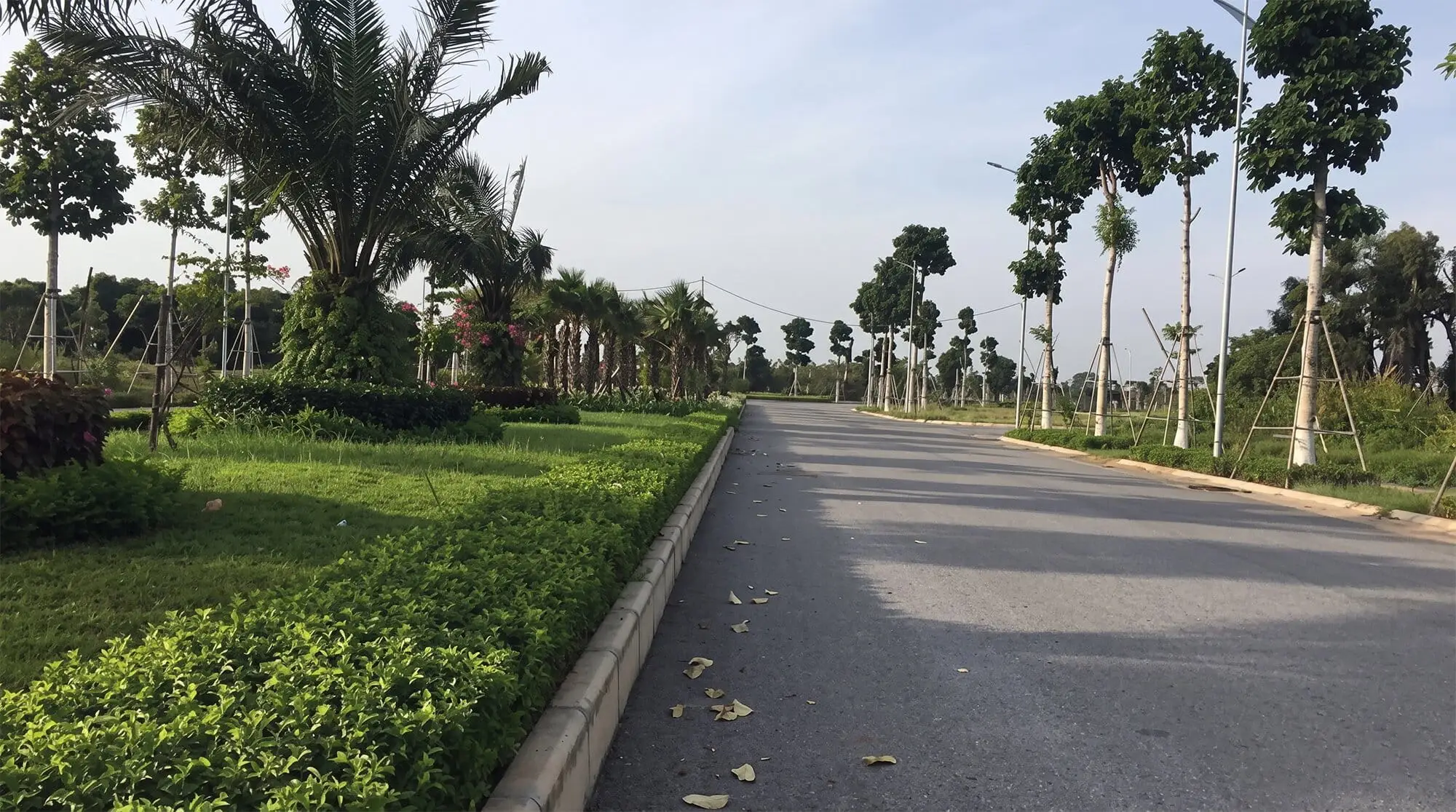 Hình ảnh tiến độ thi công Forestia Park Hưng Yên ghi nhận tuyến đường nội khu đã trải nhựa, hệ thống cây xanh, thảm cỏ và cảnh quan hai bên đường được triển khai đồng bộ.