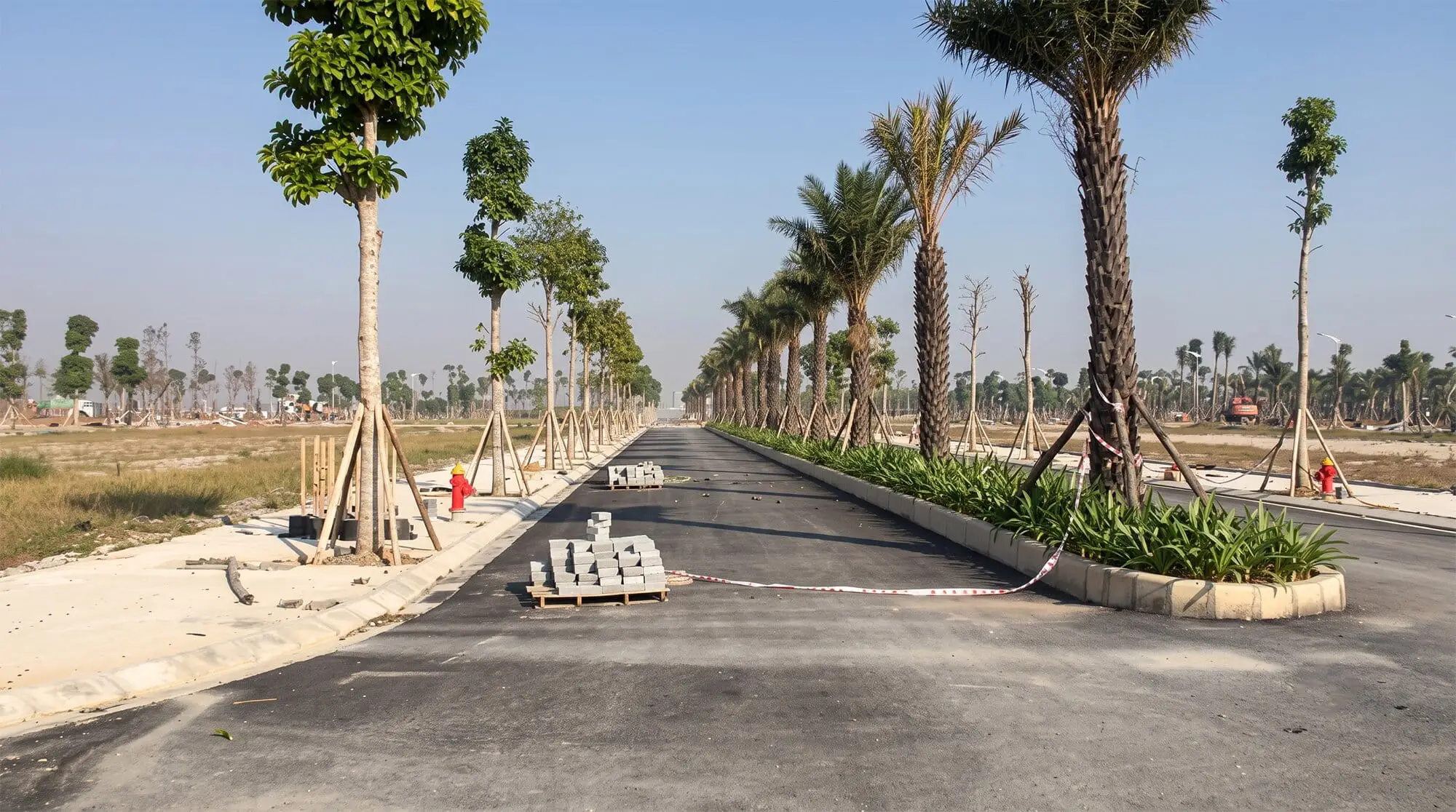 Hình ảnh tiến độ thi công Forestia Park Hưng Yên cho thấy tuyến đường nội khu đã trải nhựa, dải phân cách trồng hàng cọ, cây xanh và hạ tầng kỹ thuật đang được hoàn thiện.