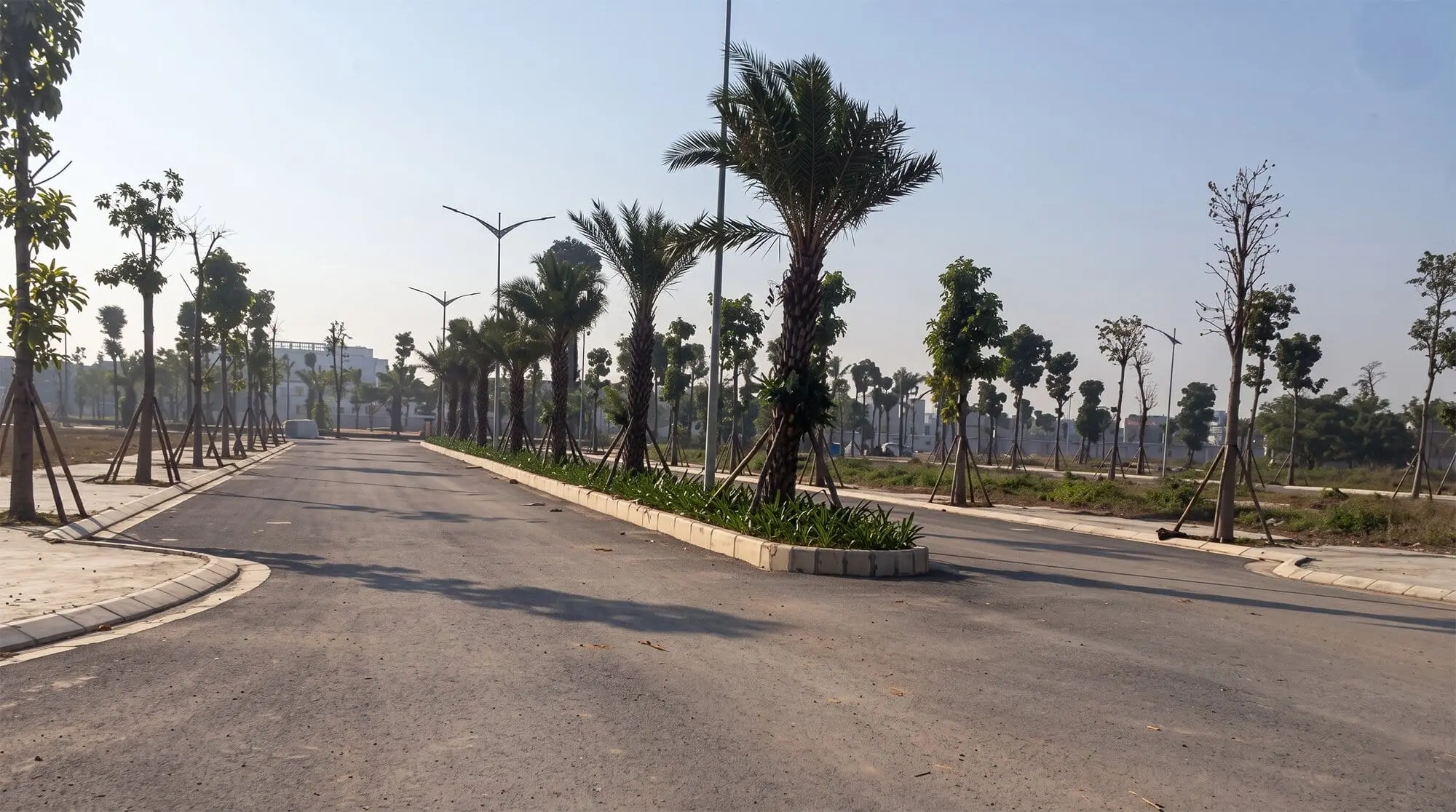 Hình ảnh tiến độ Forestia Park Hưng Yên cho thấy tuyến đường nội khu đã hoàn thiện mặt đường, dải phân cách trồng cọ và hệ thống cây xanh hai bên.